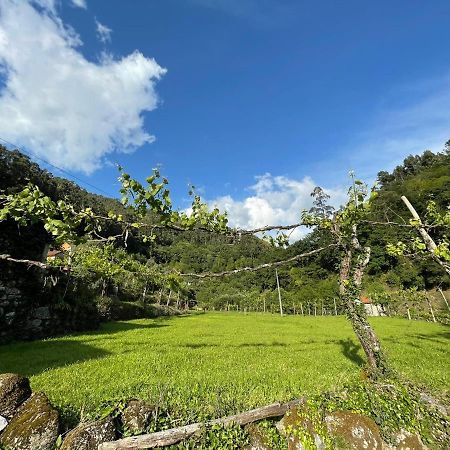 Casa Museu Lagar De Azeite Villa Terras de Bouro Luaran gambar